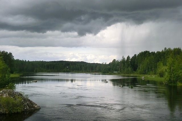 Djurliv på Fjärdlång