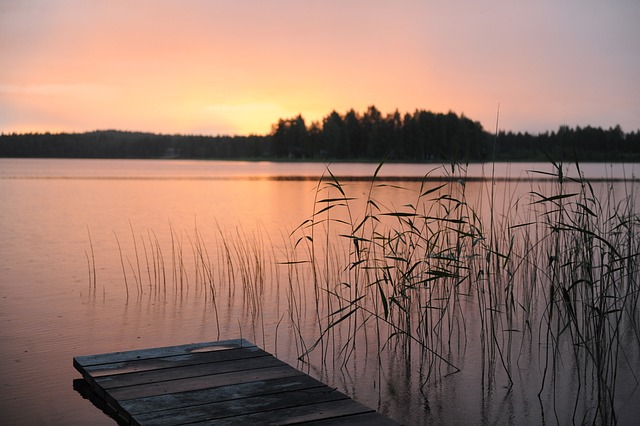 Så lagar du mat utomhus